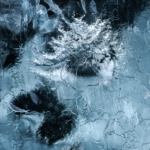 Nathalie Chanteau 8114-2019