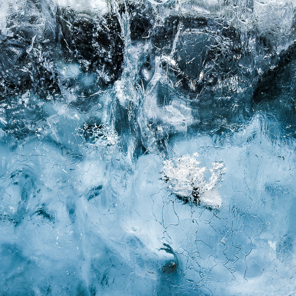 Nathalie Chanteau 8120-2019